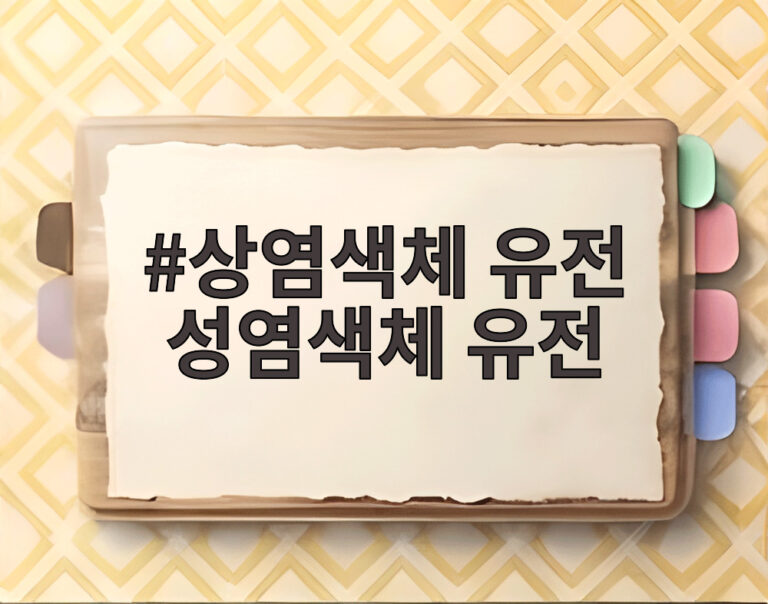 상염색체 유전 성염색체 유전