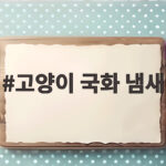 고양이 국화 냄새 괜찮은지 가을꽃축제 안전 수칙 확인하기 고양이 국화 냄새