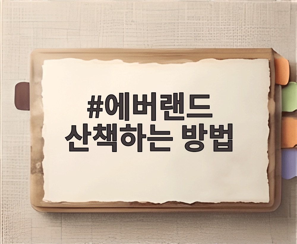 에버랜드 산책하는 방법