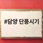 담양 단풍시기