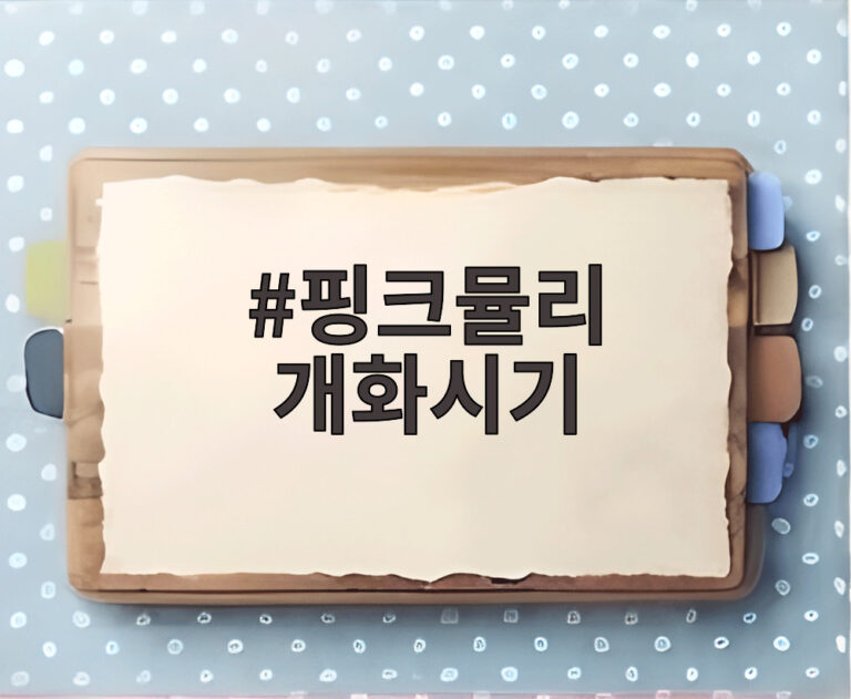 핑크뮬리 개화시기