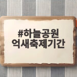 하늘공원 억새축제기간