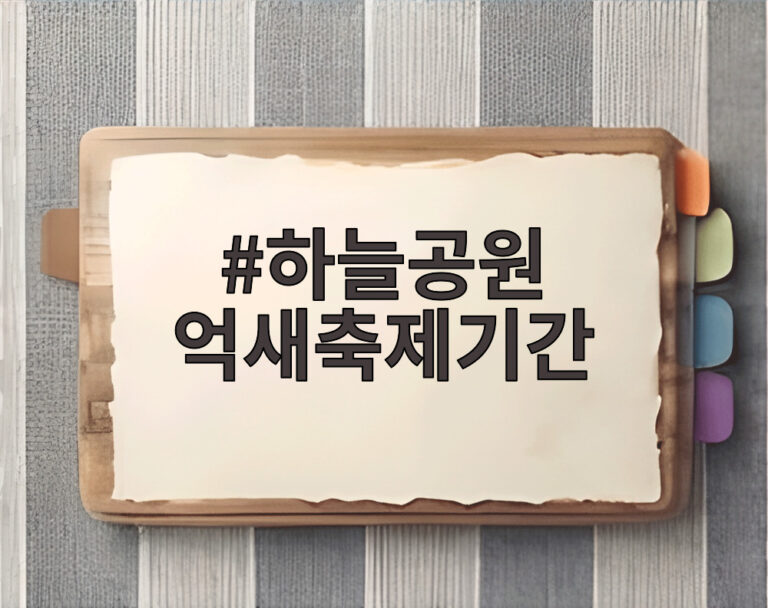 하늘공원 억새축제기간