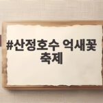 산정호수 억새꽃 축제