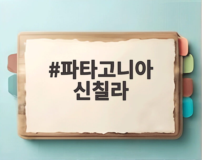 파타고니아 신칠라