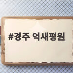 경주 억새평원