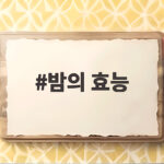밤의 효능