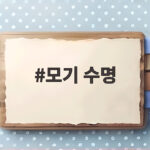 모기 수명이 궁금하다면 암컷과 수컷의 생존 기간 차이를 알아보기 모기 수명