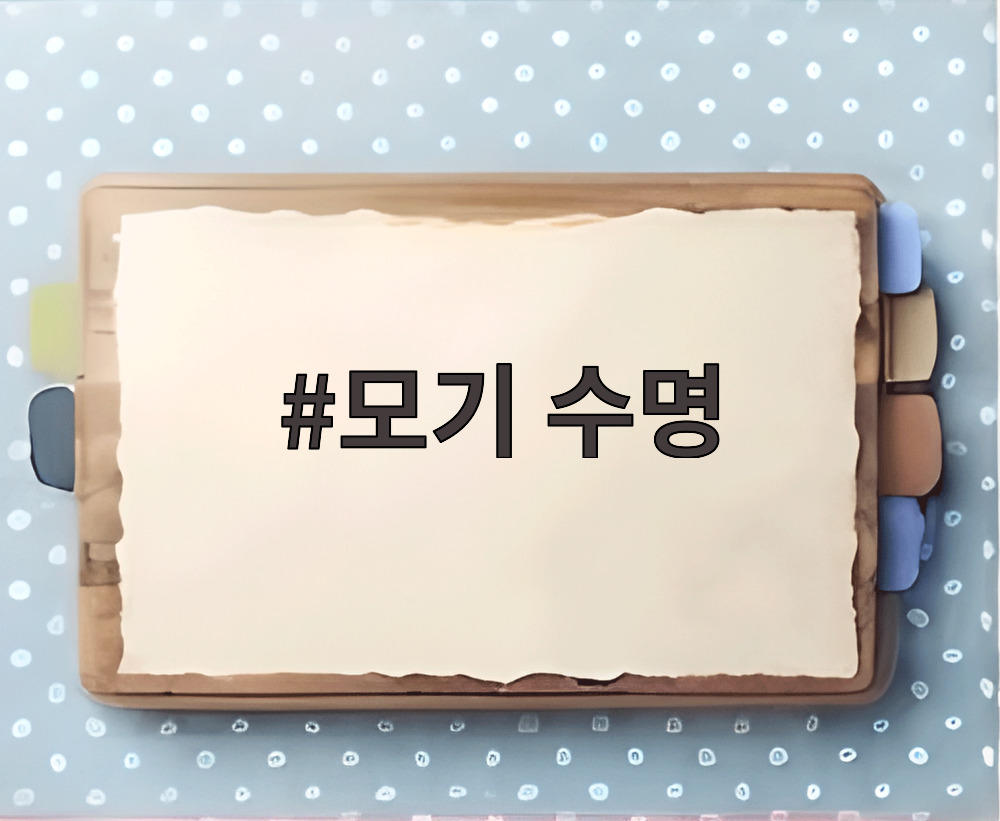 모기 수명