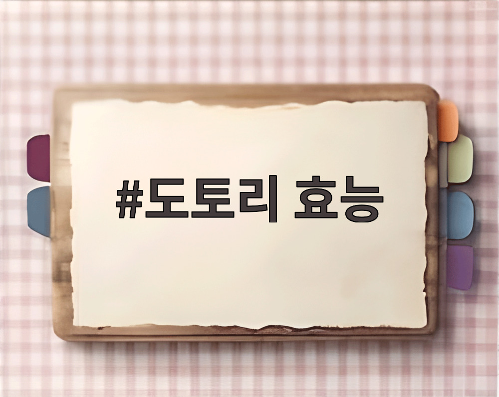 도토리 효능