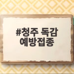 청주 독감 예방접종