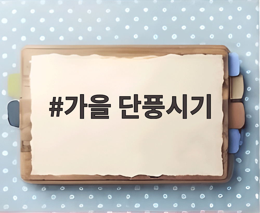 가을 단풍시기