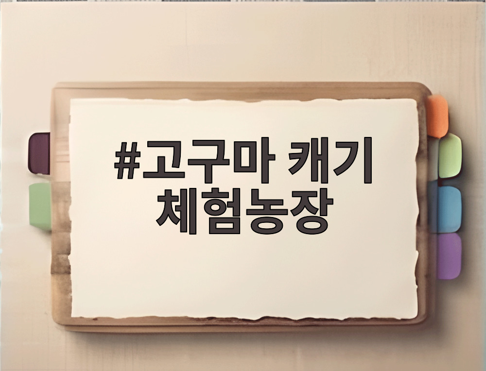 고구마 캐기 체험농장