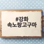 강화 속노랑고구마 맛과 구매 체험까지 한번에 알아보기 강화 속노랑고구마