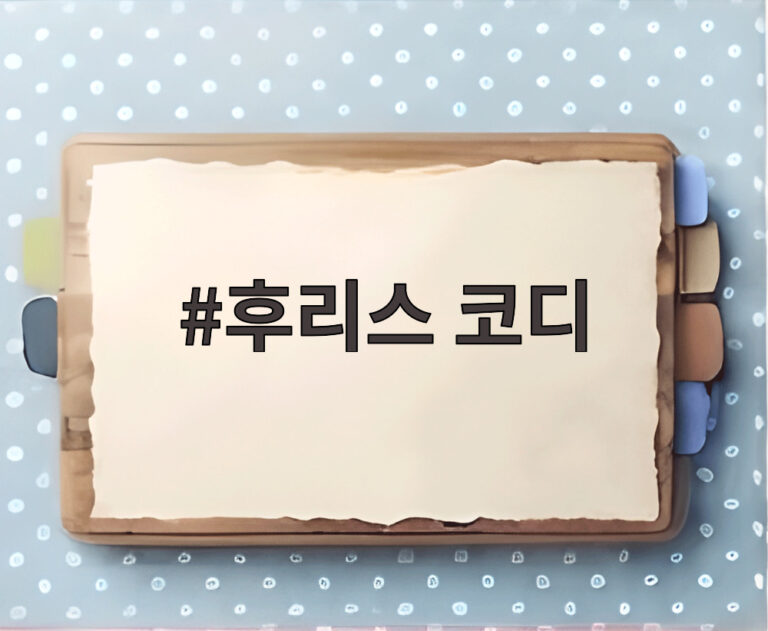 후리스 코디