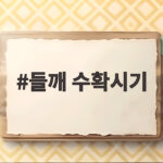 들깨 수확시기