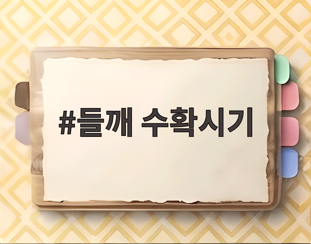 들깨 수확시기