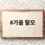 가을 탈모 원인과 증상 언제까지 빠질까 두피 관리법을 확인하세요 가을 탈모
