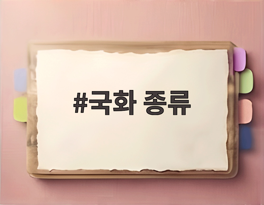 국화 종류