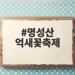 명성산 억새꽃축제