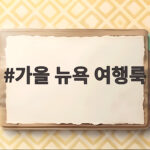 가을 뉴욕 여행룩 이렇게 준비하면 일교차와 가을비 걱정 없어요 가을 뉴욕 여행룩