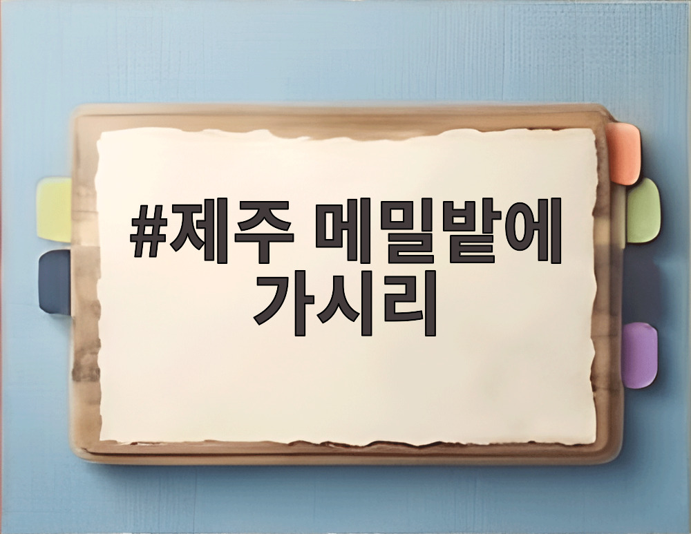 제주 메밀밭에 가시리