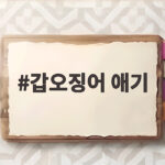 갑오징어 애기
