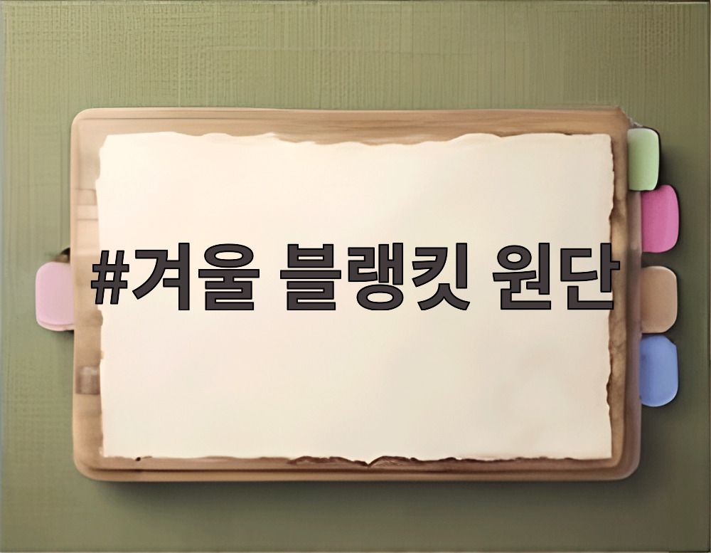 겨울 블랭킷 원단