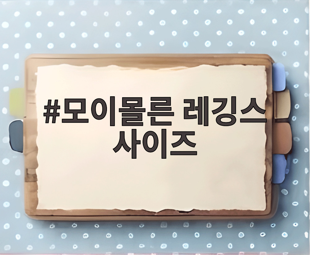 모이몰른 레깅스 사이즈