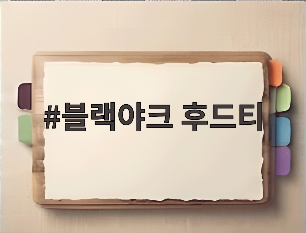 블랙야크 후드티