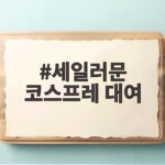 세일러문 코스프레 대여