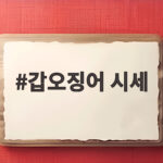 갑오징어 시세