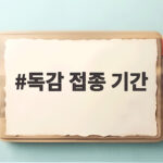 독감 접종 기간