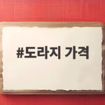 도라지 가격