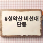 설악산 비선대 단풍