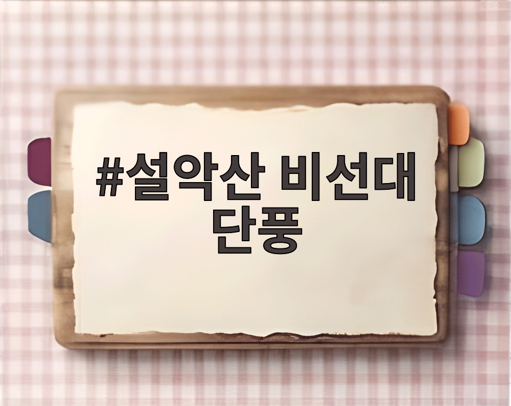 설악산 비선대 단풍