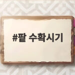 팥 수확시기 10월 전후인데 꼬투리 상태로 정확하게 판단하세요 팥 수확시기