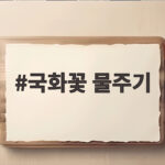국화꽃 물주기