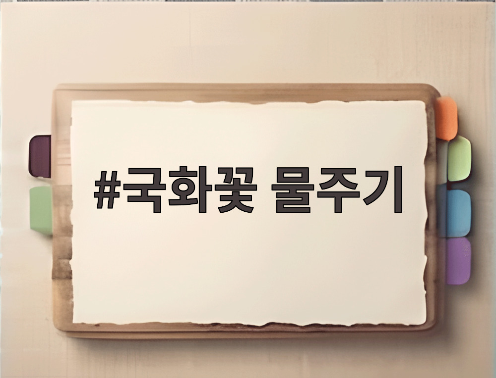 국화꽃 물주기