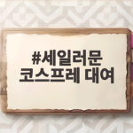 세일러문 코스프레 대여