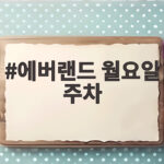 에버랜드 월요일 주차 이렇게 하면 오전 10시 전에 여유롭게 입장합니다 에버랜드 월요일 주차