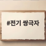 전기 쌍극자