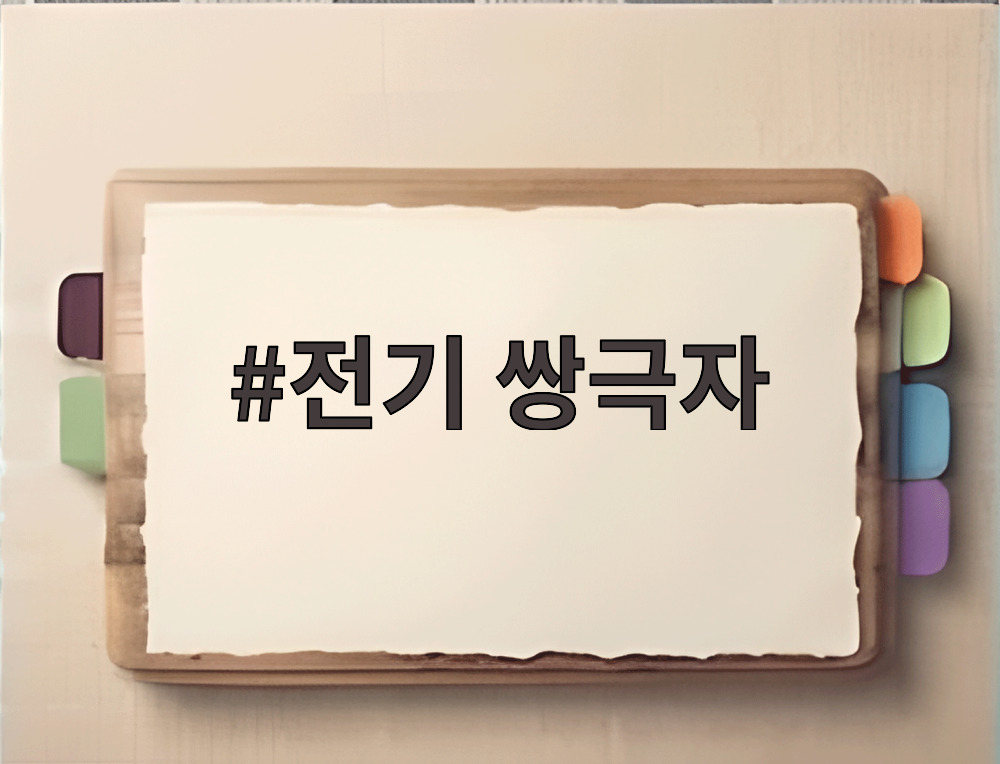 전기 쌍극자