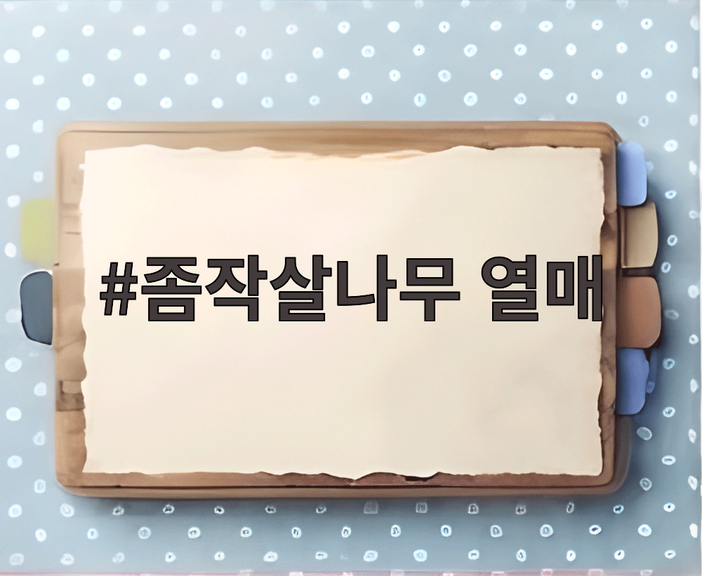 좀작살나무 열매