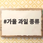 가을 과일 종류