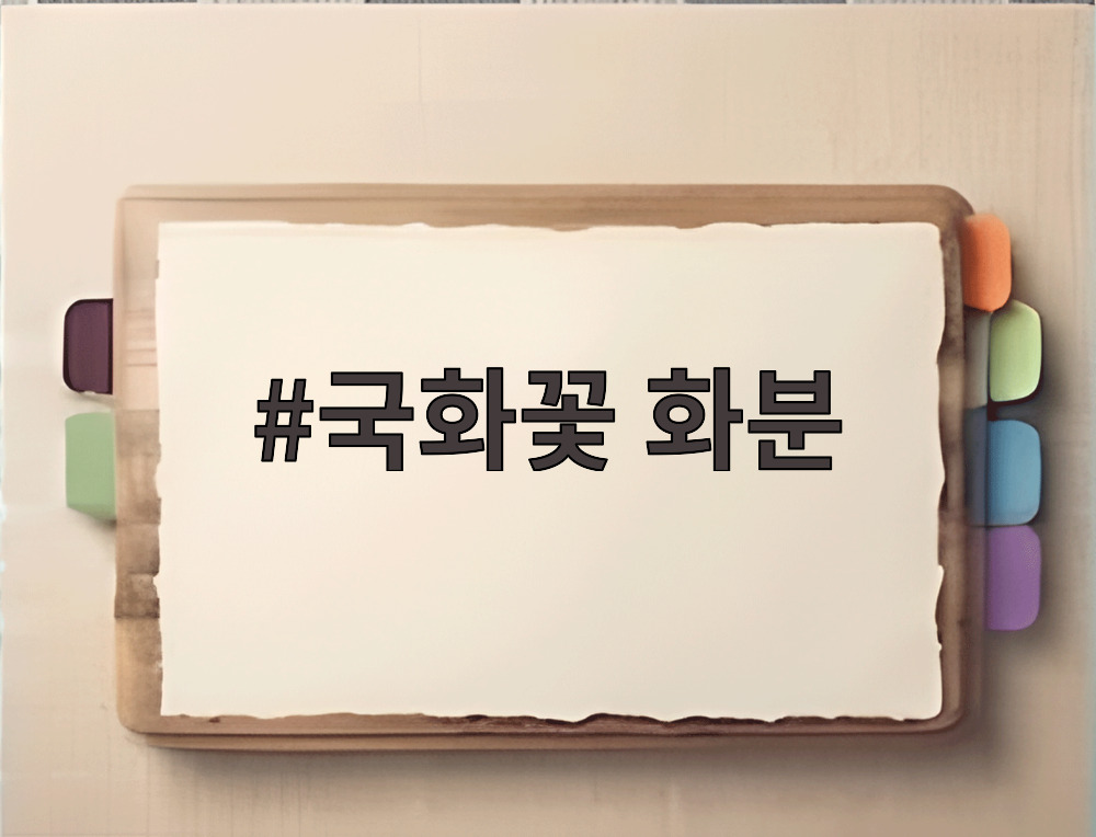 국화꽃 화분