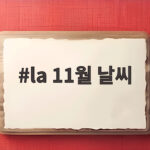 la 11월 날씨
