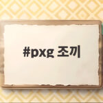 pxg 조끼