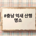 충남 억새 산행 명소