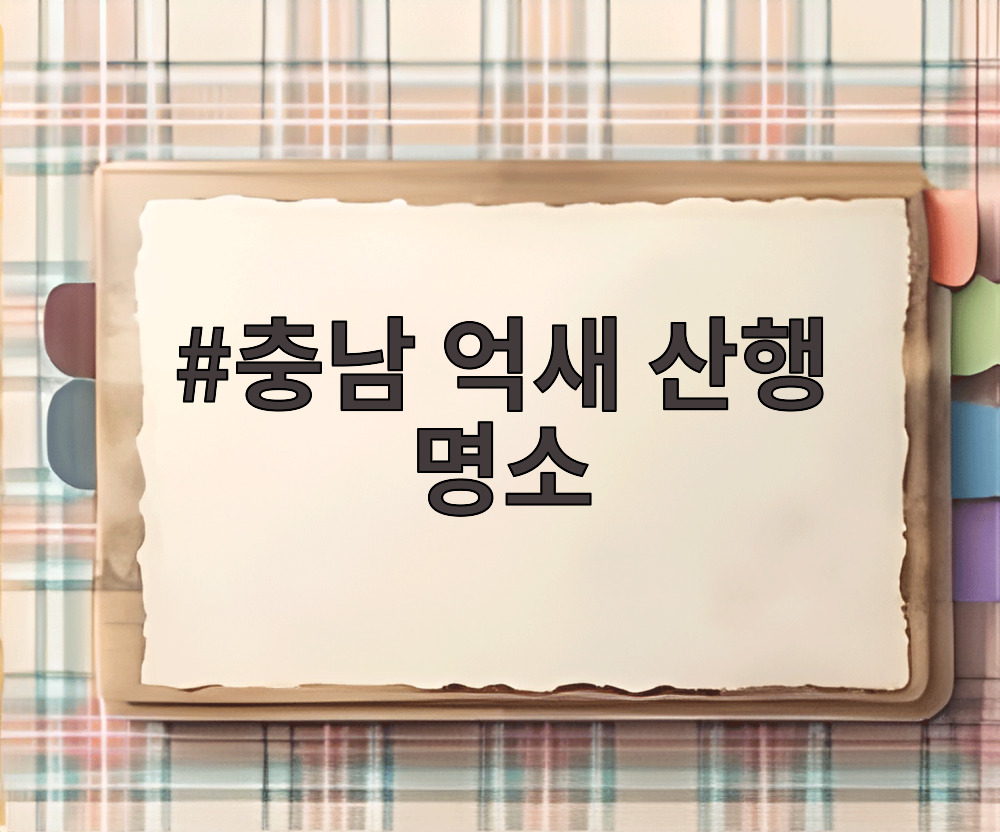 충남 억새 산행 명소